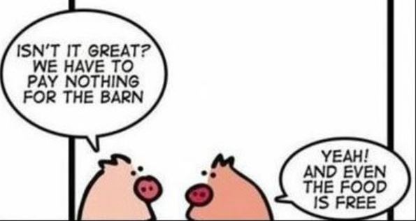 If It’s Free, You’re the Product