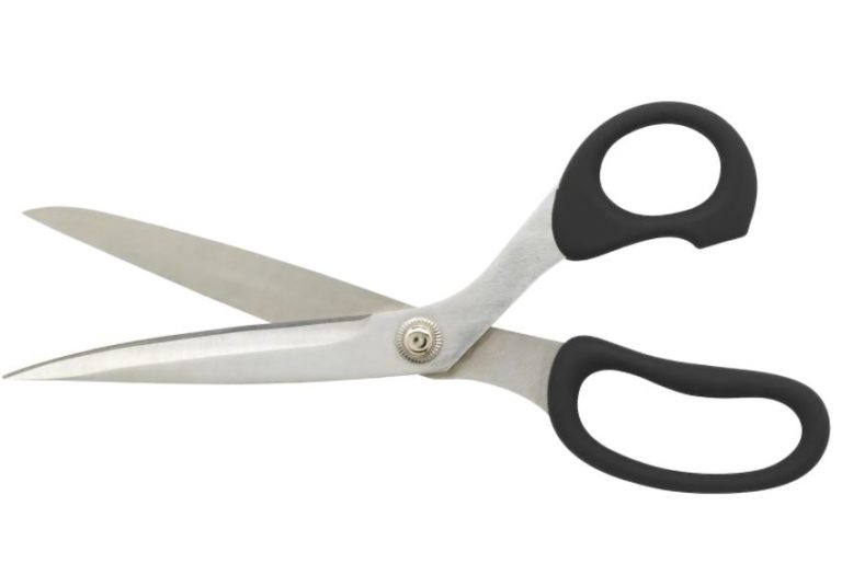 Remove Backgrounds with Photo Scissors