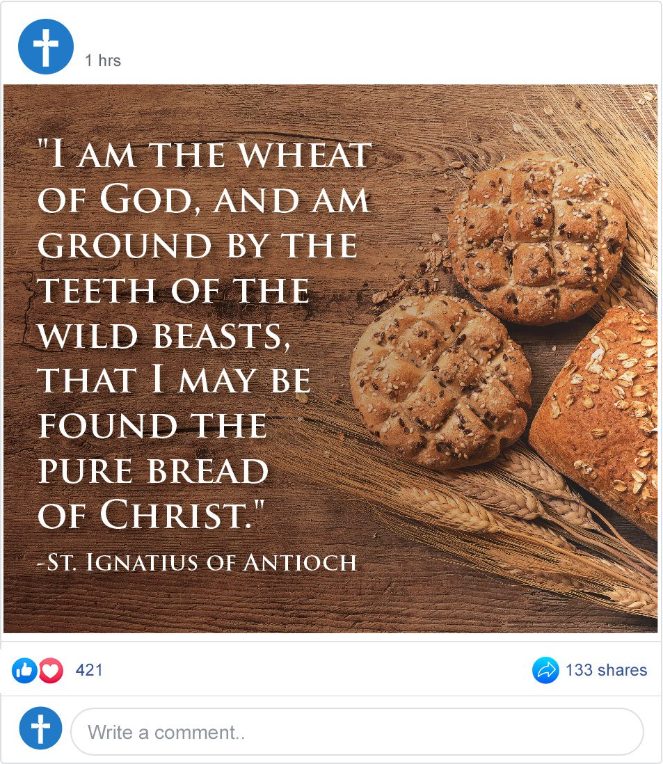 I am the Wheat of God I am the Wheat of God