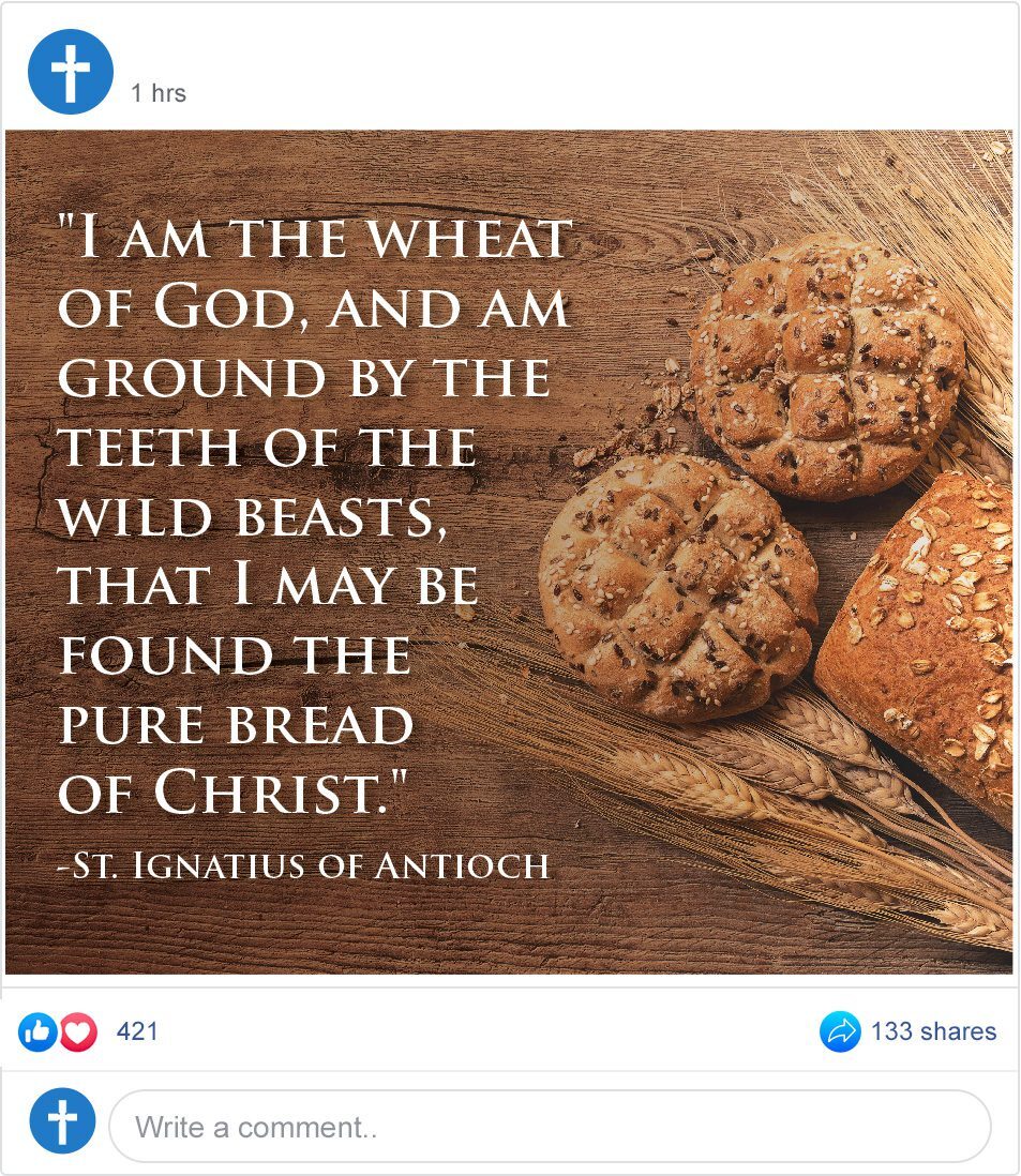 I am the Wheat of God