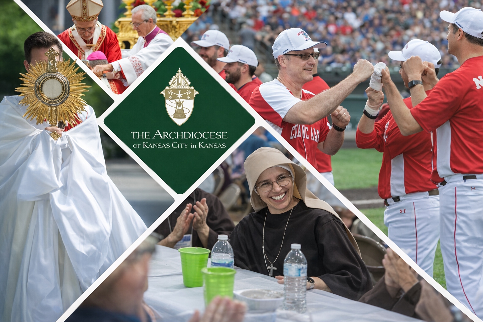 See How Your Posts Are Performing